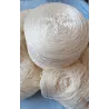 SETA PANNA retina